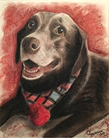 Dog Portrait